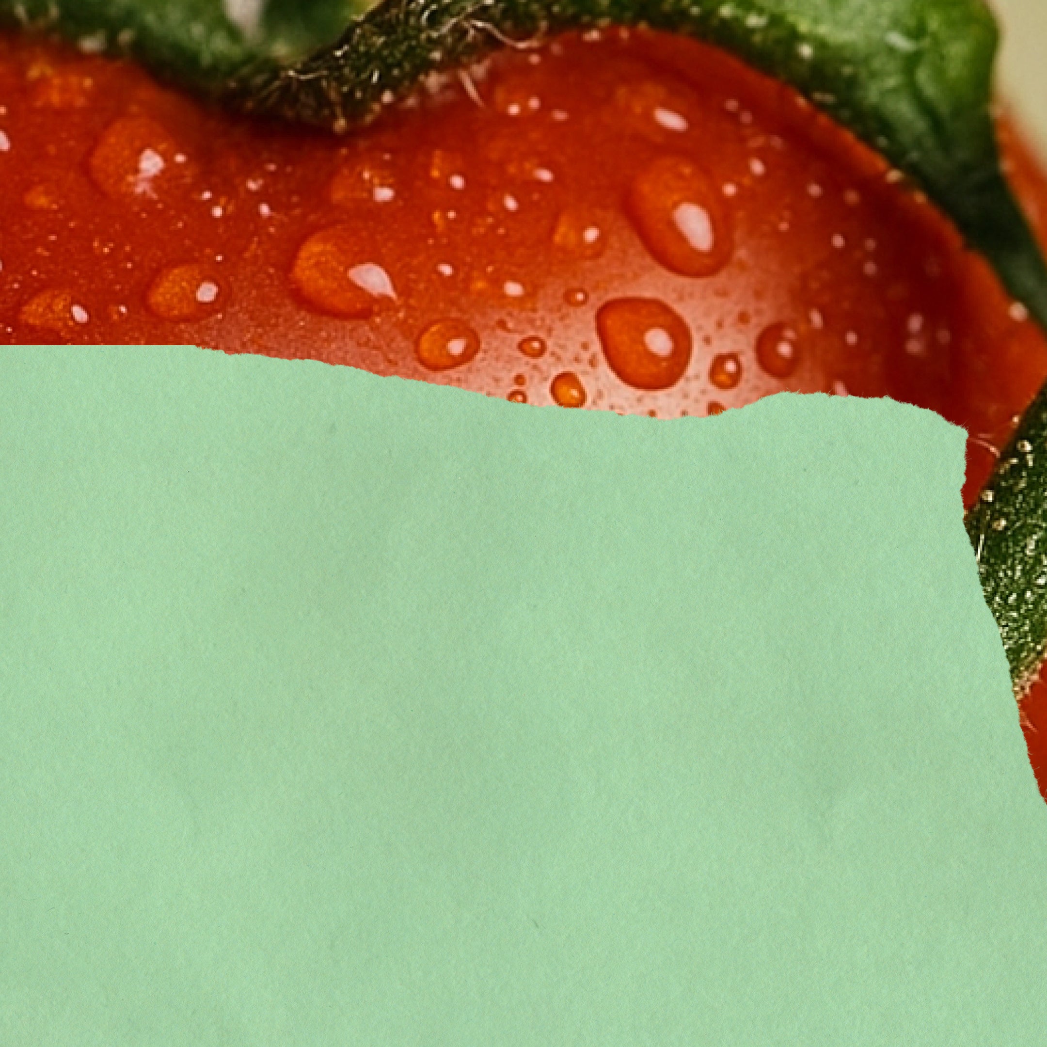 Are you earthy, green, and fresh?